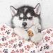 Pedgot Fluffy Dog Blankets with Paw Print - Set of 4 | Soft & Warm Pet Throw Blankets for Small Dogs & Cats | Brown/White/Pink | 24 x 16 & 30 x 20 Inches - Buy Online on GoSupps.com