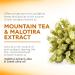 Apivita Tonic Mountain Tea Moisturizing Body Milk 6.76 fl.oz. | Energizing Shea Butter Lotion for All Skin Types - Buy Online on GoSupps.com