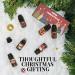 SALKING Christmas Fragrance Oils Gift Set - Perfect Scents for Soaps, Candles, and Diffusers - Buy Online on GoSupps.com