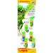 Sera Flore 2 Ferro 250 ml - Premium Iron Fertilizer for Vibrant Aquarium Plants | UV-Stable Nutrient Solution for Lush Aquatic Growth - Buy Online on GoSupps.com
