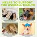 Milk Thistle for Dogs 60ml Liver Support for Dogs Supports Kidney Function for Pets Detox Hepatic Support Health Supplement with Wild Alaskan Salmon Oil & Curcumin Omega 3 EPA & DHA Bacon Flavor - Buy Online on GoSupps.com
