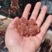 Crystal 200g Natural Orange Aragonite Quartz Crystal Rough Stone Cluster Nepheline Specimen Natural Stones and Minerals 1pcs Can be Used for ZJGIDTEM (Size : 100-150g) - Buy Online on GoSupps.com