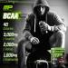 MusclePharm Essentials BCAA Powder, Pre & Post Workout Recovery Drink, Supports Muscle Recovery & Energy, Essential Amino Acids, 30 Serv, Fruit Punch - Buy Online on GoSupps.com