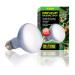 Exo Terra Daylight Basking Spot broad spectrum daylight lamp R20 75W socket E27