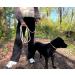 Leitengr n Dog Leash for Big Dogs | 3M Adjustable with 2 Carabiners | 3m Long x 1.1cm | Lightweight 300g | Devon Model in Sand Beige - Buy Online on GoSupps.com