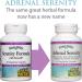 Natural Factors Stress-Relax Serenity Formula - 60 Vegetarian Capsules with Sensoril - Buy Online on GoSupps.com