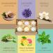 Calming Aromatherapy Bath Bombs Gift Set for Her - 6 Aromatic Scents to Relax and Revitalize Mind, Body & Soul - Luxury Spa Gift Basket for Women - Buy Online on GoSupps.com
