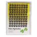 Vayator D Curl 0.07mm False Eyelashes | Reusable Individual Extensions | Wide Stem Fluffy Clusters | Natural Soft & Dramatic Look (16mm) - Buy Online on GoSupps.com