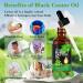 Organic Jamaican Black Castor Oil & Gua Sha Massage Tools Set | 100% Pure Cold Pressed Oil for Body Care & Skin Massage - Buy Online on GoSupps.com