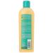 SoftSheen-Carson Amla Legend Moisture Remedy Shampoo 13.5 oz - Salon Quality Haircare - Buy Online on GoSupps.com