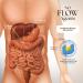 Dr. Clark Store Intestine Support & Cleanse Kit - Original Green Tincture - Vegetarian Capsules - Buy Online on GoSupps.com