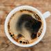 Eurostar Old Rail Coffee Whole Bean Medium Roast Low Acidity 100% Arabica 12 OZ / 340G - Buy Online on GoSupps.com