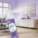 Glade Air Freshener Room Spray Tranquil Lavender & Aloe Fragrance Infused with Essential Oils with 100% Natural Propellant 2 Pack 2 x 235g Tranquil Lavender & Aloe 117.5 g (Pack of 2) - Buy Online on GoSupps.com