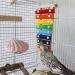Suspensible Colorful Bird Xylophone Toy with 8 Metal Keys - Ideal for Chicken Bird, Parrot, Budgies, Love Birds | Bird Cage Accessories - Buy Online on GoSupps.com