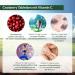120 Cranberry Tablets with Vitamin C - 4-Month Supply 50-Fold Extract - Daily Health Boost - Buy Online on GoSupps.com