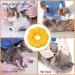 Cat Recovery Collar Cat Cone Cute Sun Flower Neck Cat Cones After Surgery Adjustable Cat Collar Recovery Collar Cone Suitable for Pet Medical for Rehabilitation Grooming Wound Healing - Buy Online on GoSupps.com