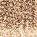 GoGo Curl Crochet Hair 18inch Ombre Deep Wave Synthetic Twist Braid Extensions (6 Packs, 27/613) - Buy Online on GoSupps.com