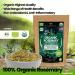 Huggiberries Organic Rosemary Leaves-Spice 3.5 OZ (100g) - Pure High Aromatic Flavor for Meat, Vegetables & Soup | USDA Approved, GMO & Gluten Free, Raw Vegan - Immunity Boosting & Wellness Support - Buy Online on GoSupps.com