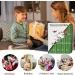 900 Pockets Football Card Binder - Trading Card Holder Album with Sleeves Protectors for Sports Cards - Buy Online on GoSupps.com