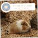COLLBATH Small Pet Protective Ring Hamster Guinea Pig Pet Collars Pet Cone Pet Supply Cloth Sky-Blue - Buy Online on GoSupps.com