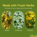 Herbs Etc. ChlorOxygen & Lung Tonic Chlorophyll & Herbal Lung Support for Blood Oxygen Energy Breathing & Bronchial Health with Mullein Horehound & Grindelia 240 Softgels - Buy Online on GoSupps.com