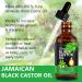 NIFEISHI 100% Pure Jamaican Black Castor Oil - Cold Pressed 2.02 Fl Oz | Hair Growth & Body Care Moisturizing Oil - Buy Online on GoSupps.com