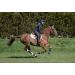 LeMieux ProShell Brushing Horse Boots - Large Black Carbon Air Xc - Buy Online on GoSupps.com