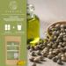 Qidosha Hemp Oil Capsules 2000mg - High Dose 180 pc Cold-Pressed with Omega 3 6 9 & ALA - International Shipping Available - Buy Online on GoSupps.com