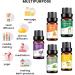 Essential Oils Set - 5 Blends for Diffusers Home Care Candle Making Scents Fragrance Aromatherapy Humidifiers Gifts - Peppermint Lemongrass Lavender Lemon Orange (5pcs) - Buy Online on GoSupps.com