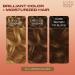 Clairol Professional Texture and Tones 1 oz Luminous Blonde Hair Color - Fade Resistant Dye - Buy Online on GoSupps.com