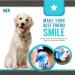 KENNELS & KATS Pet Grooming Glove | Premium De-shedding Brush for Dogs, Cats, Rabbits & Horses | 260 Tips for Mess-free Grooming | One Size Fits All | Blue - Buy Online on GoSupps.com