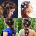 Sdoowes 8PC Butterfly Mini Hair Clips | Slipproof Hair Clamps for Women & Girls | Perfect Gift in 8 Colors - Buy Online on GoSupps.com