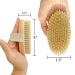 Spiffy Skin Wet & Dry Body Brush Exfoliator - Medium Soft Natural Bristle - Exfoliates Dead Skin, Slows Aging, Reduces Cellulite, Stimulates Blood Flow for Energy - Buy Online on GoSupps.com