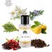 Monac - Inspired By L.V. Fragrances - Eau de Parfum - 50 Ml 90%-99% similar Long Lasting 8-15 hours Preimum Quality Ingredients (Cosmatic Inspired by Cosmic Cloud (U)) - Buy Online on GoSupps.com