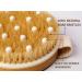 2 in 1 Wood Lymphatic Drainage Dry Brush Massage Tools Kit - Wooden Therapy Paddle for Body - Maderoterapia Kit - Shower Brush for Cellulite - Best Body Brushing Tool - Buy Online on GoSupps.com