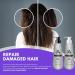 Buy Coconut Oil Shampoo & Conditioner Set - 11 Oz Each | Best Moisture & Shine for All Hair Types - International Shipping Available - Buy Online on GoSupps.com