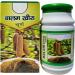 Balam Kheera Churan Ayurv dique 100 g (lot de 4) - Buy Online on GoSupps.com