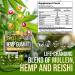 JOYLI Quit Smoking Gummies - All-Natural Lung Cleanse with Mullein Leaf & Reishi Mushroom - Vegan Lung Detox Gummies for Smokers - Buy Online on GoSupps.com