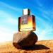 Pride My Oud Unisex Eau de Parfum 3.4 Fl. Oz Exotic Fresh Woody Fragrance with Musk Agarwood and Saffron - Buy Online on GoSupps.com