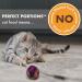 NUTRO Perfect Portions Adult Wet Cat Food Grain Free Chicken & Turkey Pat Multiplack 75 g (Pack of 12) Wet Cat Food Chicken and Turkey 75 g (Pack of 12) - Buy Online on GoSupps.com