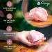 Puraja Rosenquarz Naturstein | Premium Healing & Decoration Stone (400-500g) for Computers Water & Luck - Shop Internationally! - Buy Online on GoSupps.com