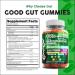 Clean Nutraceuticals Digestive Enzymes with Probiotics & Prebiotics for Digestive Health Gummies & L-Glutamine for Gut Health Bromelain Apple Pectin Inulin FOS Plant Based Vegan Gummy Vitamins 1 - Buy Online on GoSupps.com