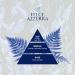 Buy Felce Azzurra Classico Body Powder - 12 Pack (100g) - Natural Dye-Free Dermatologically Tested - International Shipping - Buy Online on GoSupps.com