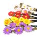 Honbay 5PCS Daisy Flower Bohemian Crown Headband Set with Elastic Ribbon - Buy Online on GoSupps.com