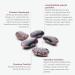 Buy Senger's 2 kg Styrian Scarlet Runner Beans PDO - 100% Natural Giant Dried Beans from Styria | International Shipping Available - Buy Online on GoSupps.com