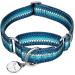 Then martingal collars for dogs adjustable-heavy duty-soft-glatted light they go the dog for large/small dogs (medium 2.5cm wide turquoise) middle 2.5cm wide turquoise
