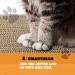 Smartbean 3PCS Cat Scratcher Pad - Double-Sided Design for Extended Life - Buy Online on GoSupps.com
