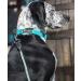 OllyDog Mountain Leash | Climbing-Inspired Rope Dog Leash 5ft | Padded Handle | Dog Accessories - Buy Online on GoSupps.com