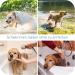 DEWEL 63.5cm Adjustable Waterproof Tick Collar for Dogs & Cats - Effective Anti-Flea Solution - Buy Online on GoSupps.com