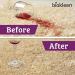 Biokleen Bac-Out Stain Remover - Eco-Friendly Enzymatic Cleaner for Carpet & Clothes - 32 oz & Gallon Refill - Best for Pet Stains Diapers Wine & More - Buy Online on GoSupps.com